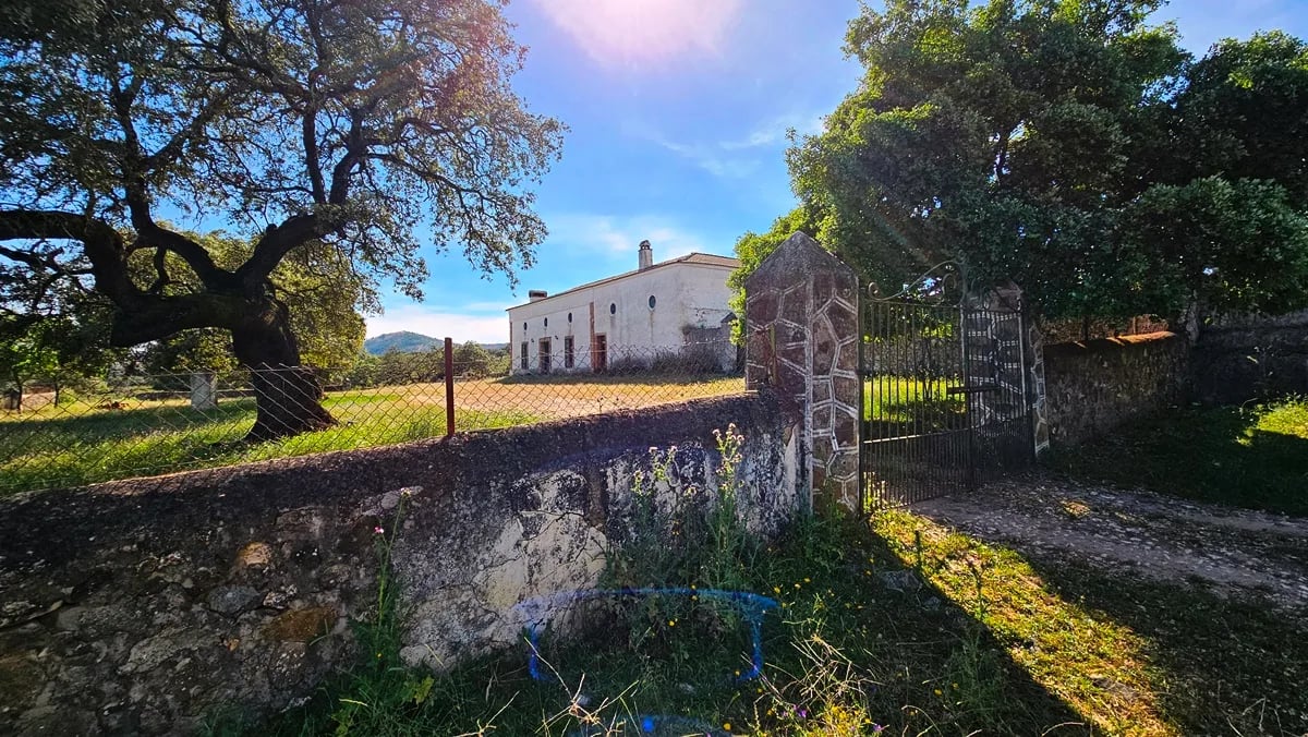 Expansive Rural Property, Historic Farmhouse