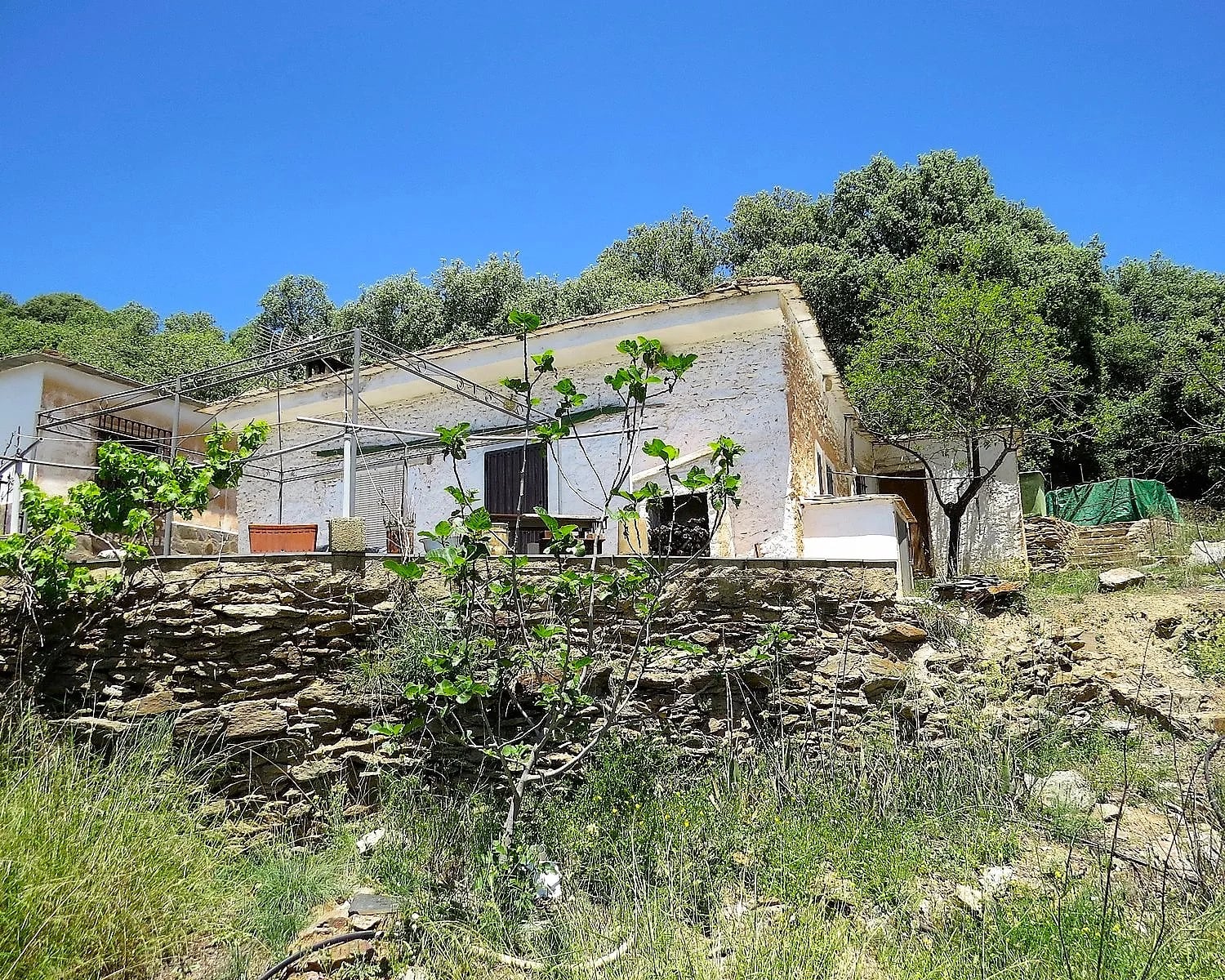 Petit cortijo, grand terrain & vues