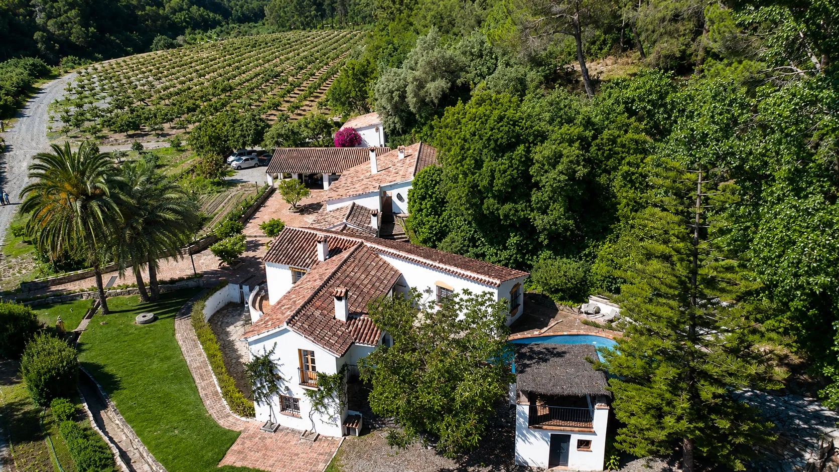 Historic Mill Estate with Vineyard and Avocado Plantation