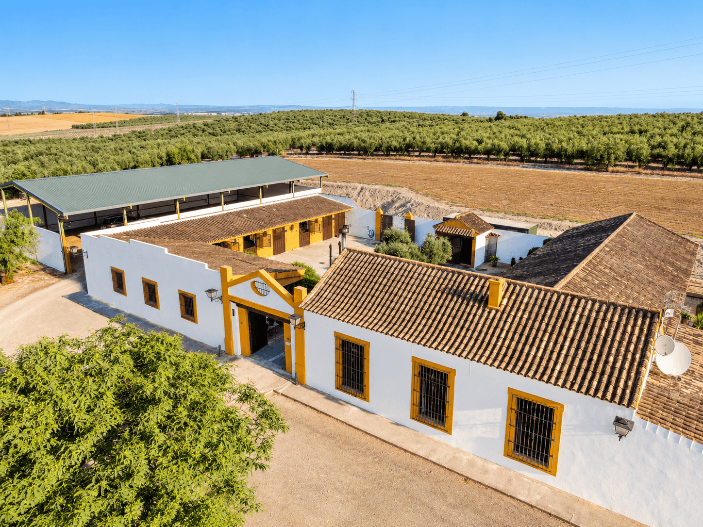 Equestrian Estate with Covered Arena
