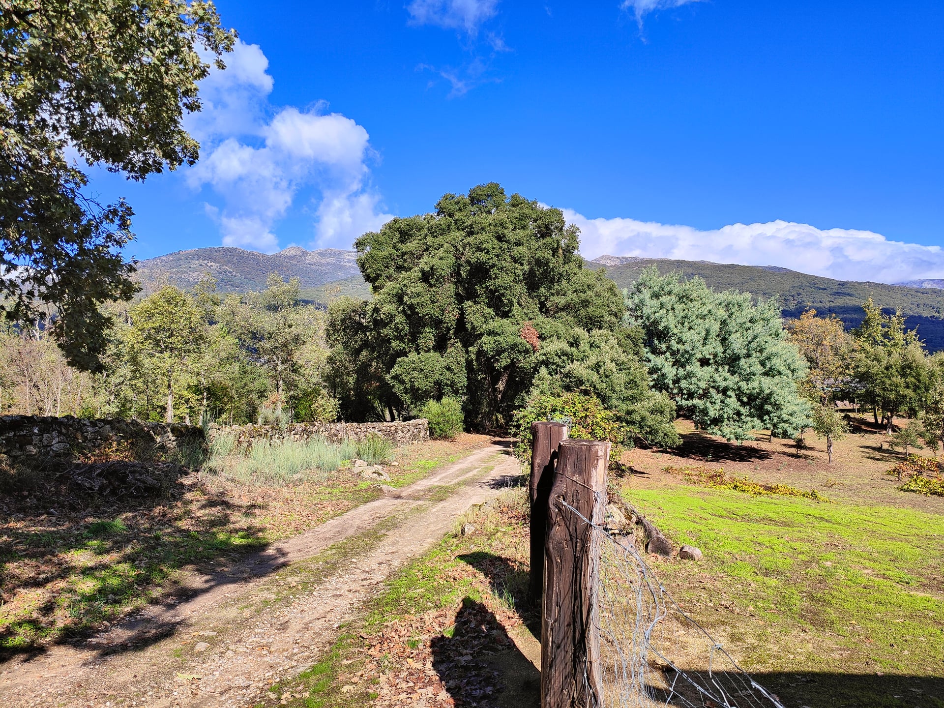 Woodland Retreat, Eco-Tourism Business