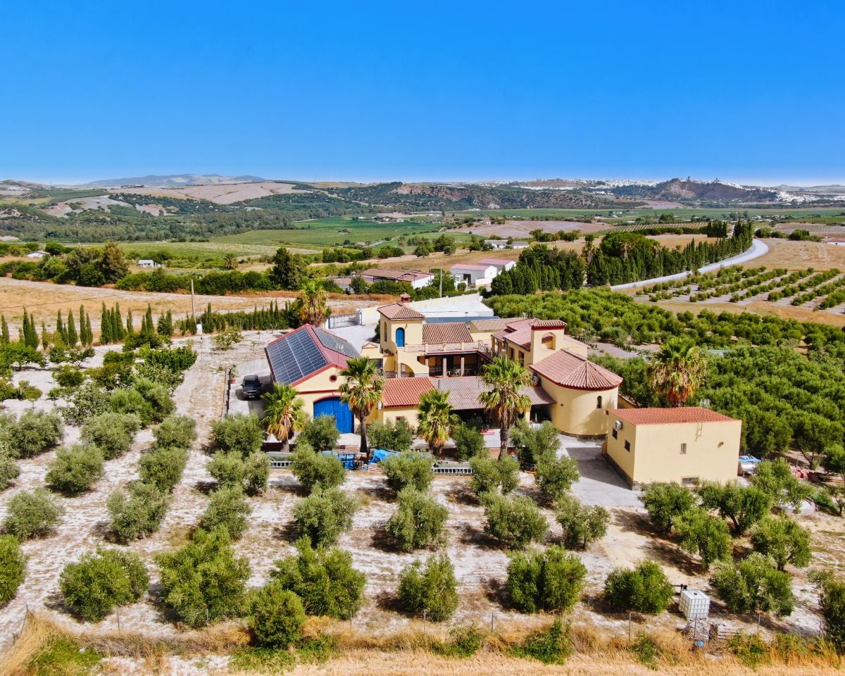 Country Estate with Olive Mill