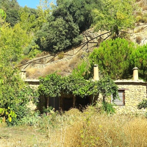 3908, Idyllic Mountain Cottage