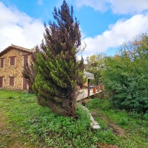 4052, Stone-Faced Country House, Abundant Water & Tourism Use