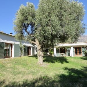 2354, Stunning Luxury Cortijo